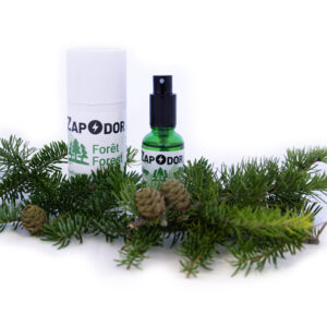 Zapodor Forest