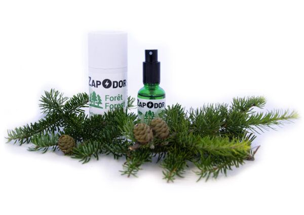 Zapodor Forest
