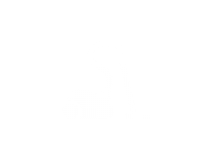 aspirateur : : vaporisateur aux huiles essentielles