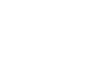 aspirateur : : vaporisateur aux huiles essentielles