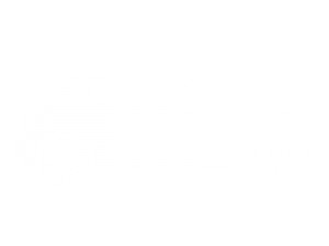 voiture : vaporisateur aux huiles essentielles